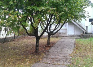 Photo Dordogne habitat Coulounieix-Chamiers