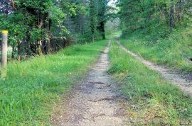 Chemins de randonnée